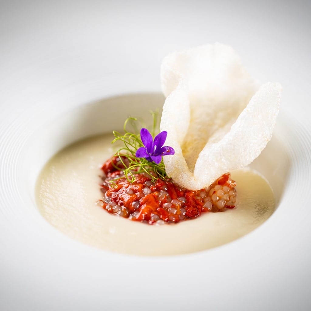 Karalábé veloute, sült paprika, tápióka