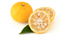 Yuzu