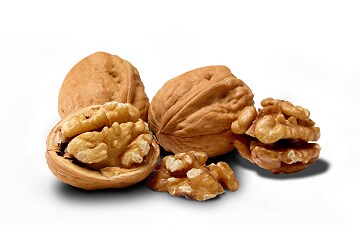 Diófélék és magok Diófélék és magok