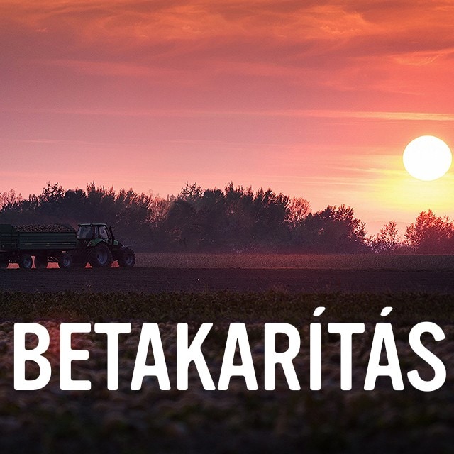 Betakarítás
