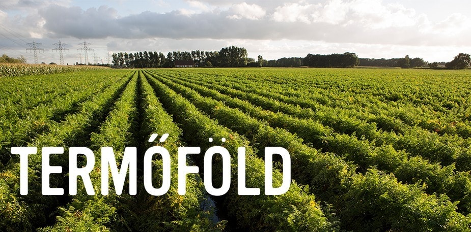 Termőföld