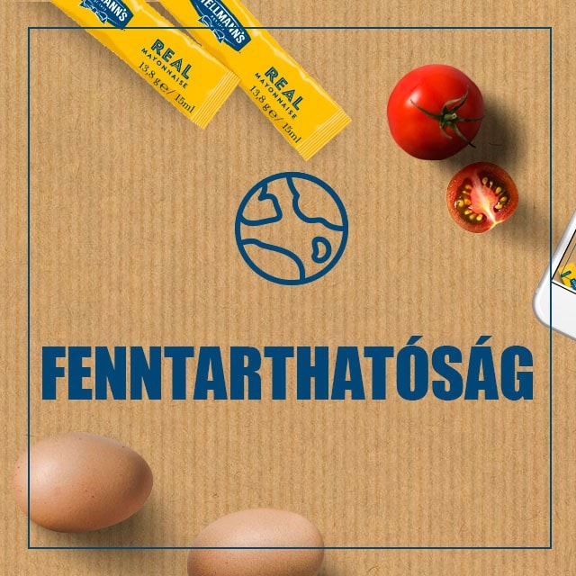 Fenntarthatóság jegyében