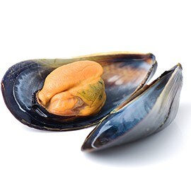 Kagylófélék, puhatestűek Kagylófélék, puhatestűek