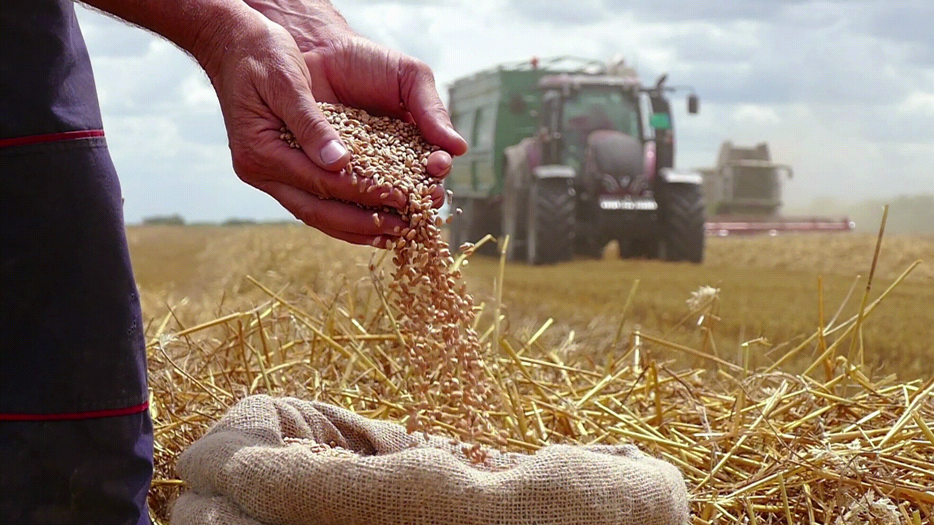 Knorr Professional tészták | Knorr Olasz Termékek 