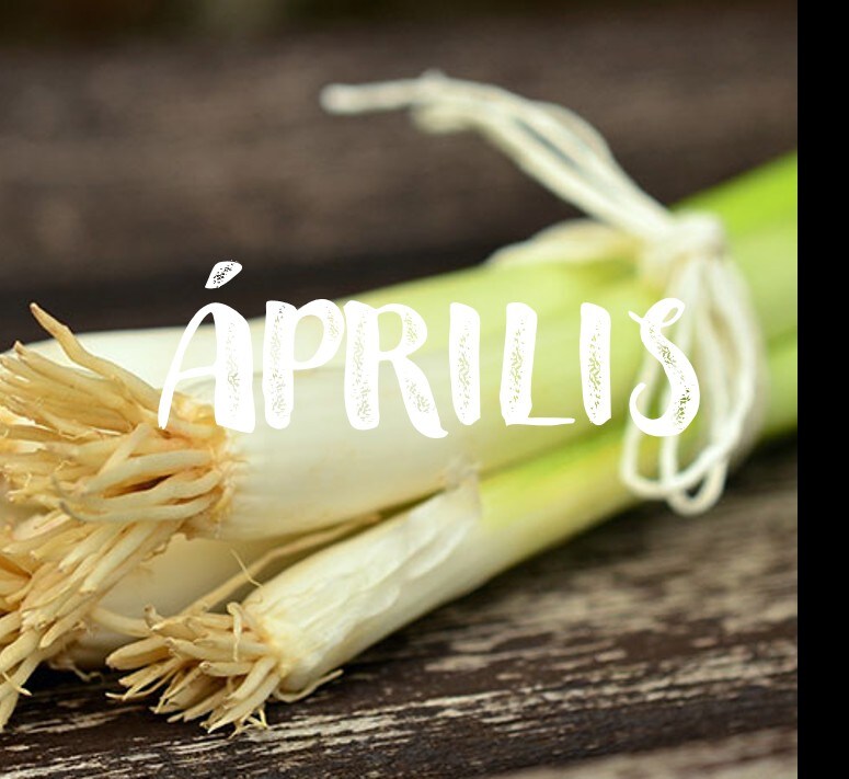 Tavasz | Április