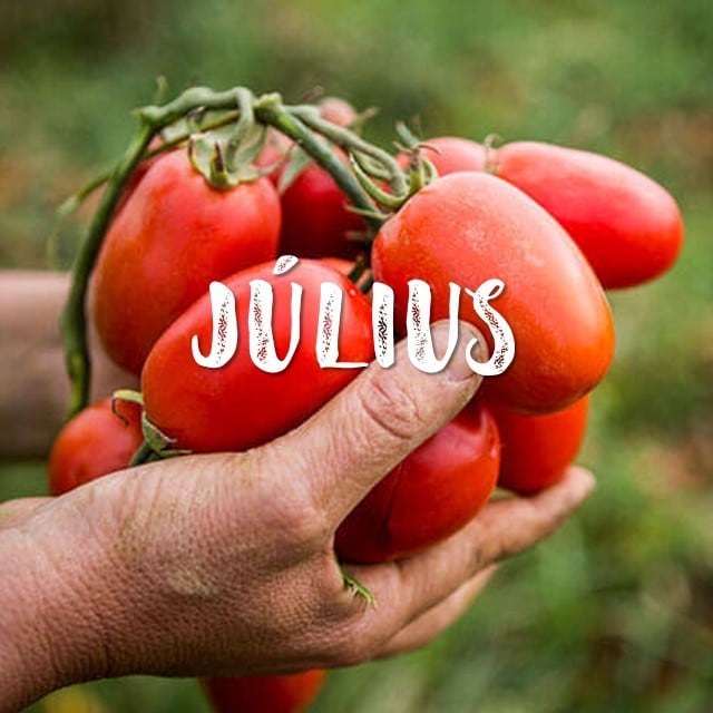 Szezonális inspirációk Július