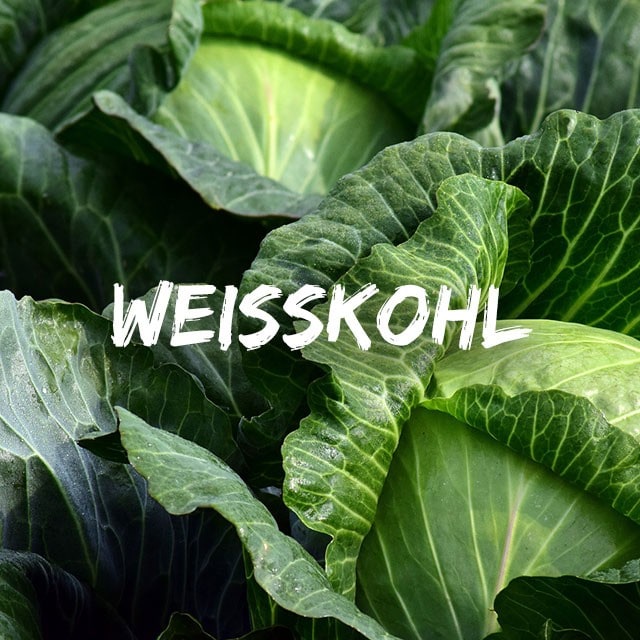 Fejes káposzta